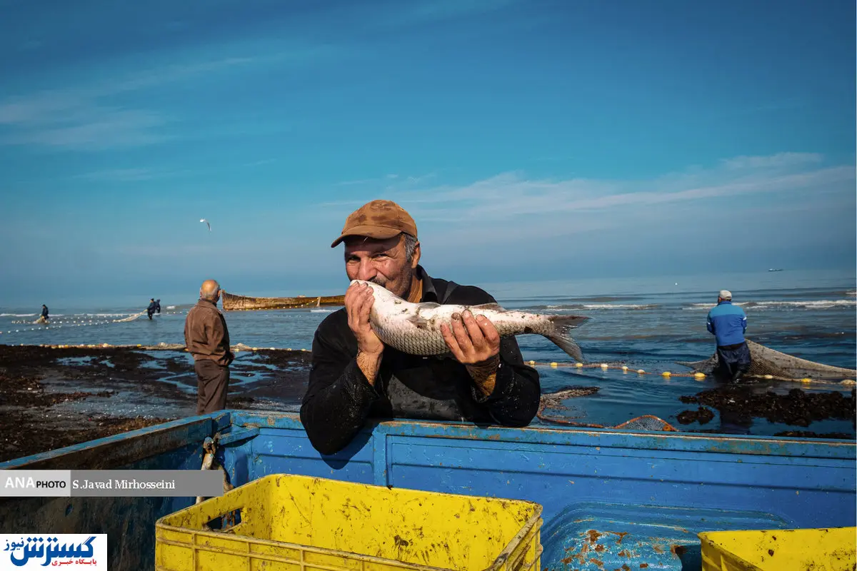 تصاویر/ صید پره قدیمی‌ترین روش صید ماهیان خزری