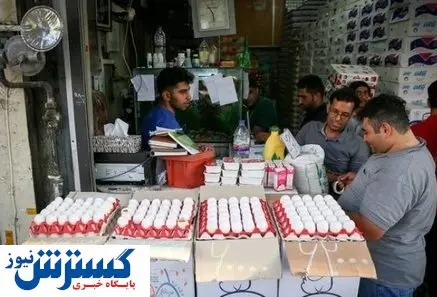 ممنوعیت عرضه تخممرغ به صورت فلهای