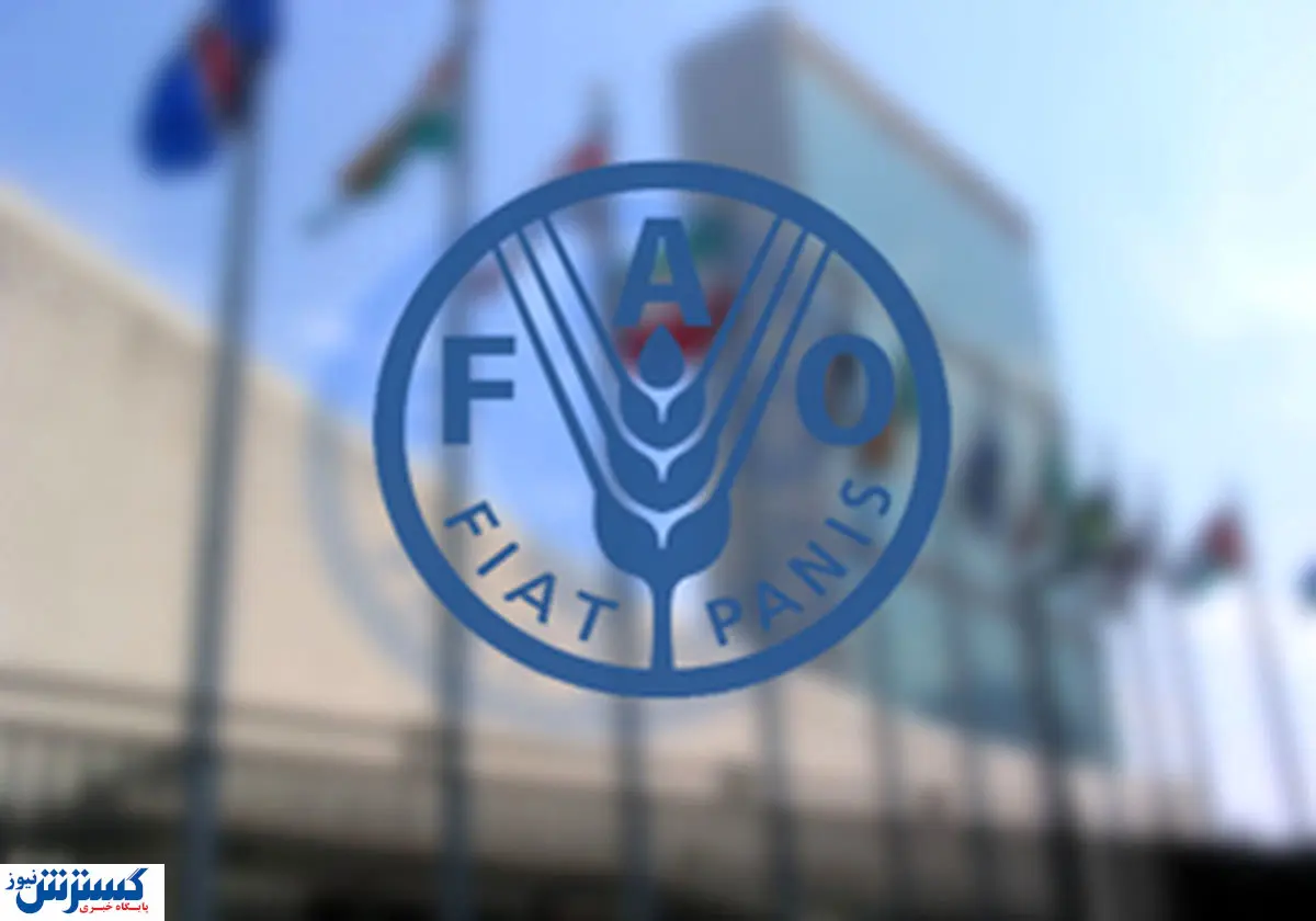 استخدامی فائو را از دست ندهید + جزئیات و لینک ثبت نام