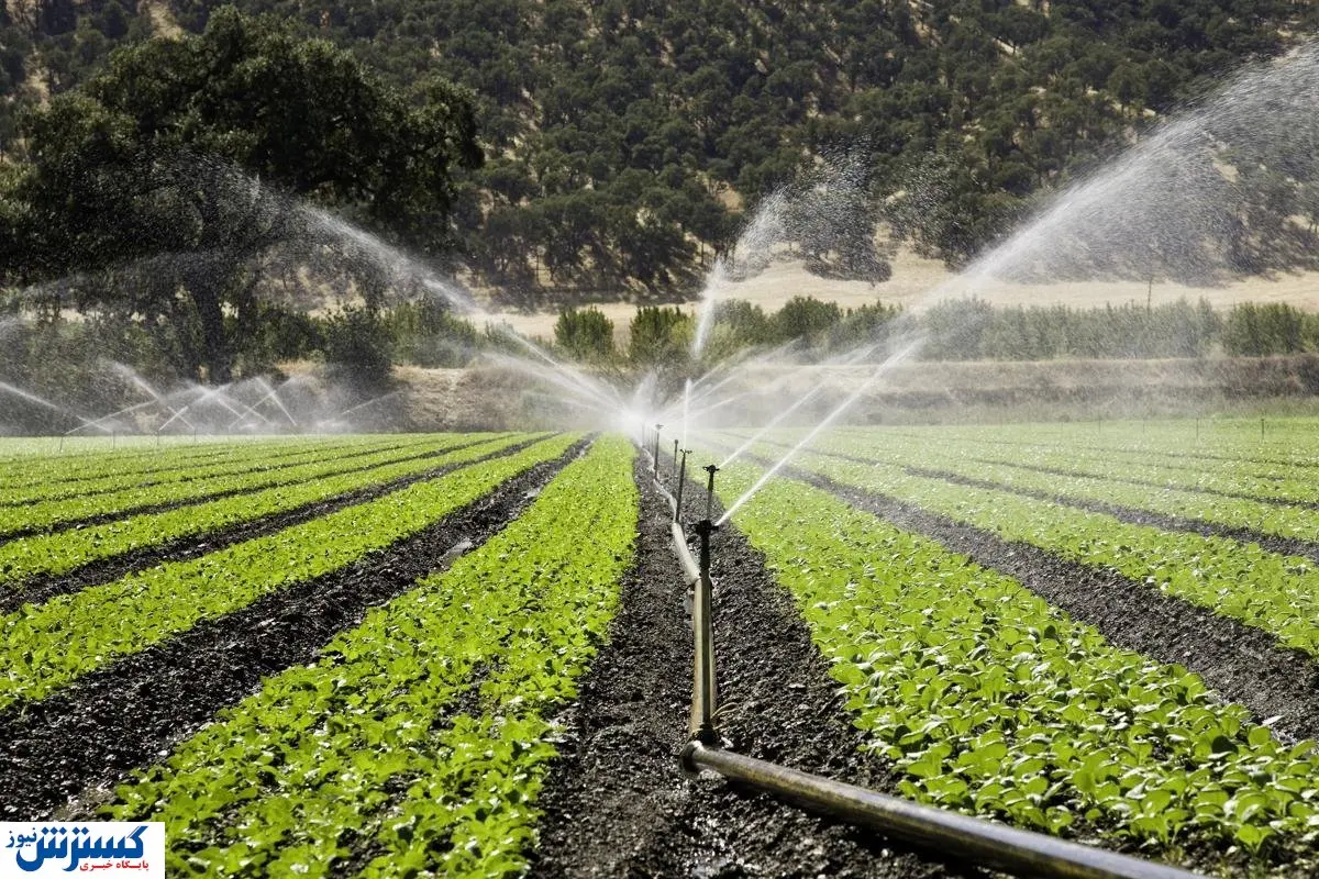 استخدام زوری مهندسان کشاورزی