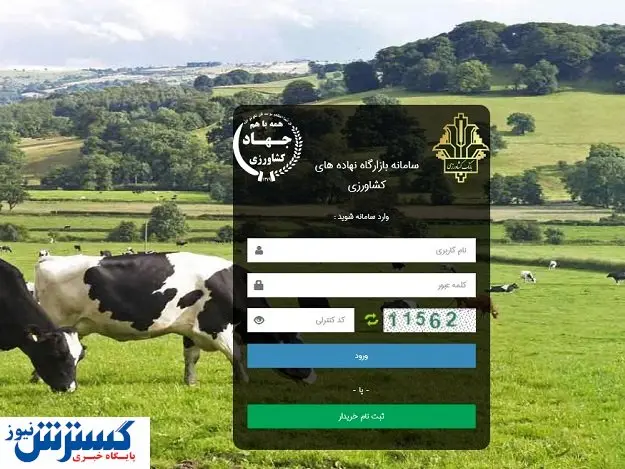 باگ سایت پر از پول را برطرف کنید