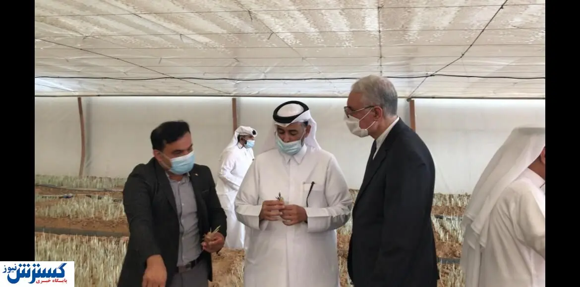 خائنین به صنعت زعفران چه کسانی هستند؟