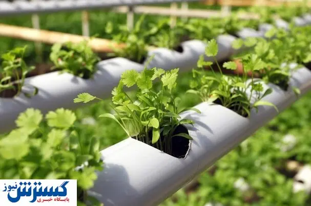 کشاورزان چقدر یارانه می گیرند؟