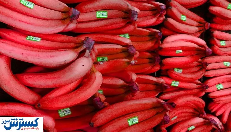 قیمت موز لاکچری /  ۱۸۰ هزار تومان ناقابل!