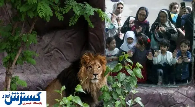 خطر از بیخ گوش «هیرمان» گذشت!