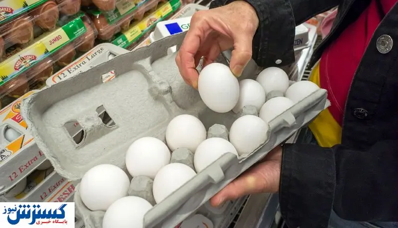 قیمت روز تخم مرغ در بازار (۹۹/۱۱/۰۷) + جدول