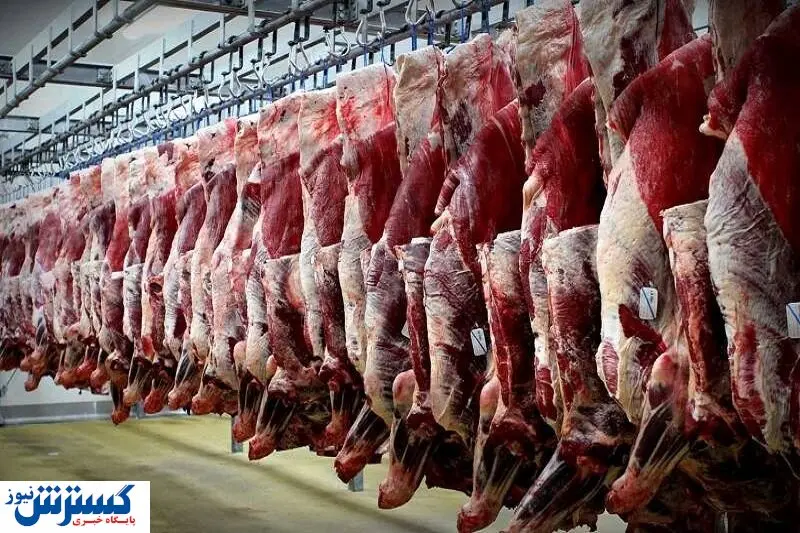 بررسی وضعیت بازار گوشت قرمز در ایام پایانی سال
