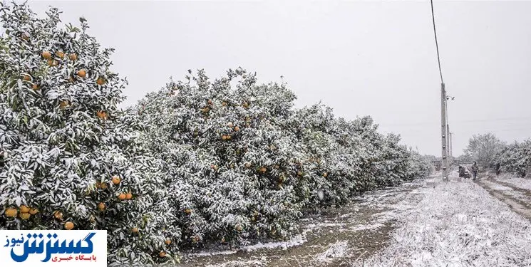 بارش سنگین برف و باران در آخر هفته
