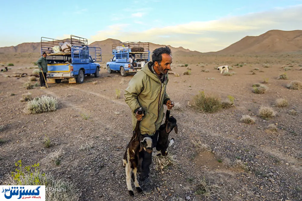 تصاویر/ کوچ ماشینی عشایر فارس