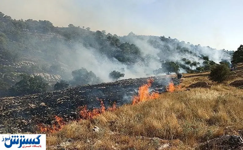 اقدام مشترک سپاه و ارتش برای اطفای حریق دامنه زاگرس