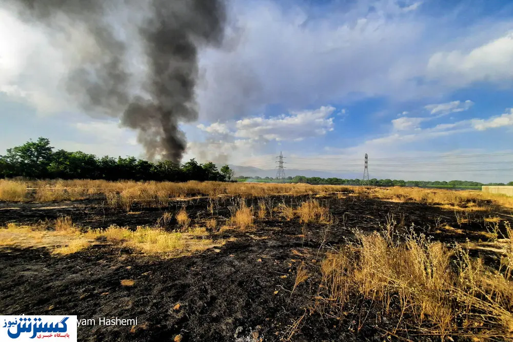تصاویر/ گردشگران آتش به جان طبیعت انداخته‌اند