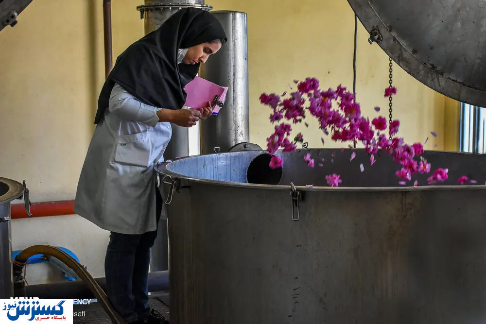 تصاویر/ صادرات جهانی گلاب ایرانی