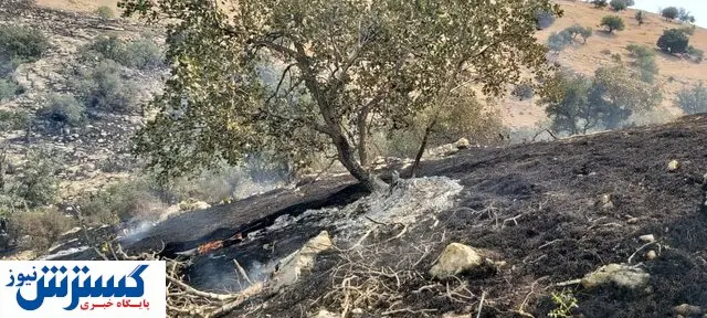 مأموریت رئیس‌جمهور به وزارتخانه‌های کشور و دفاع برای مقابله با آتش‌سوزی