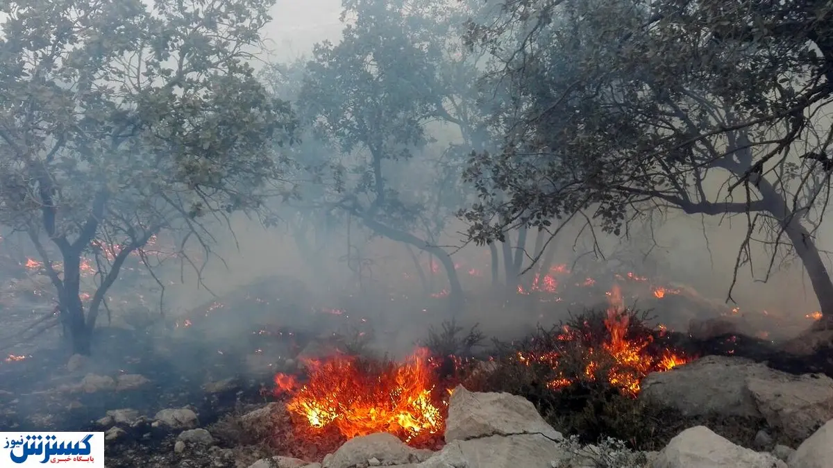 عاملان آتش‌سوزی جنگل‌های خائیز دستگیر شدند