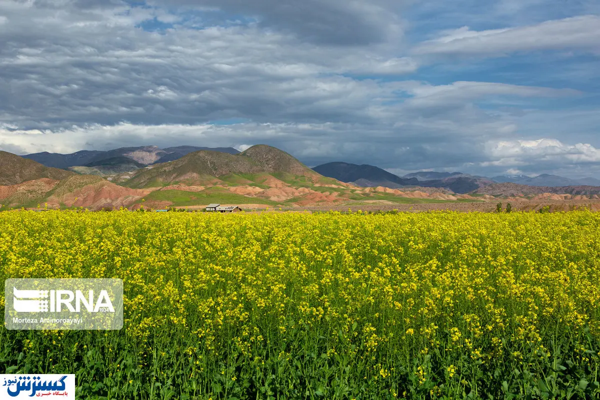 تصاویر/ زیبایی‌های دشتی در مسیر جاده ابریشم
