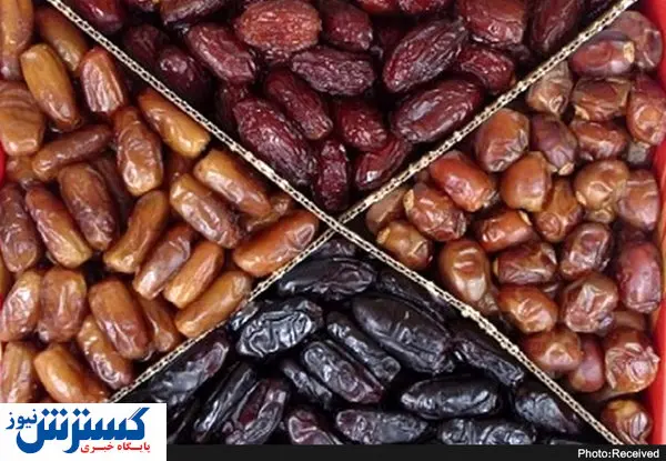 صادرات خرما کاهش یافت