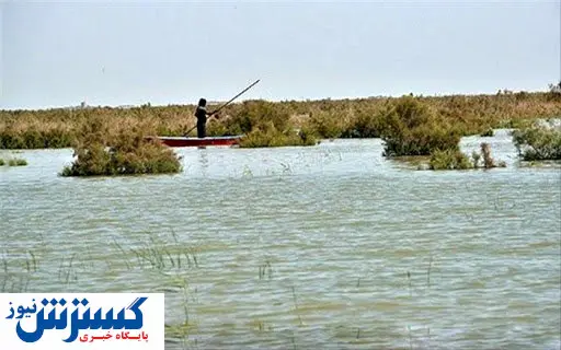 تالاب هامون ناجی اقتصاد می شود؟/فیلم