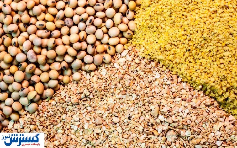 فروش خوراک دام در بازار سیاه، قاچاق است + سند