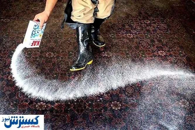 مراقب شگرد قالیشوییهای غیرمجاز باشید + آخرین قیمت