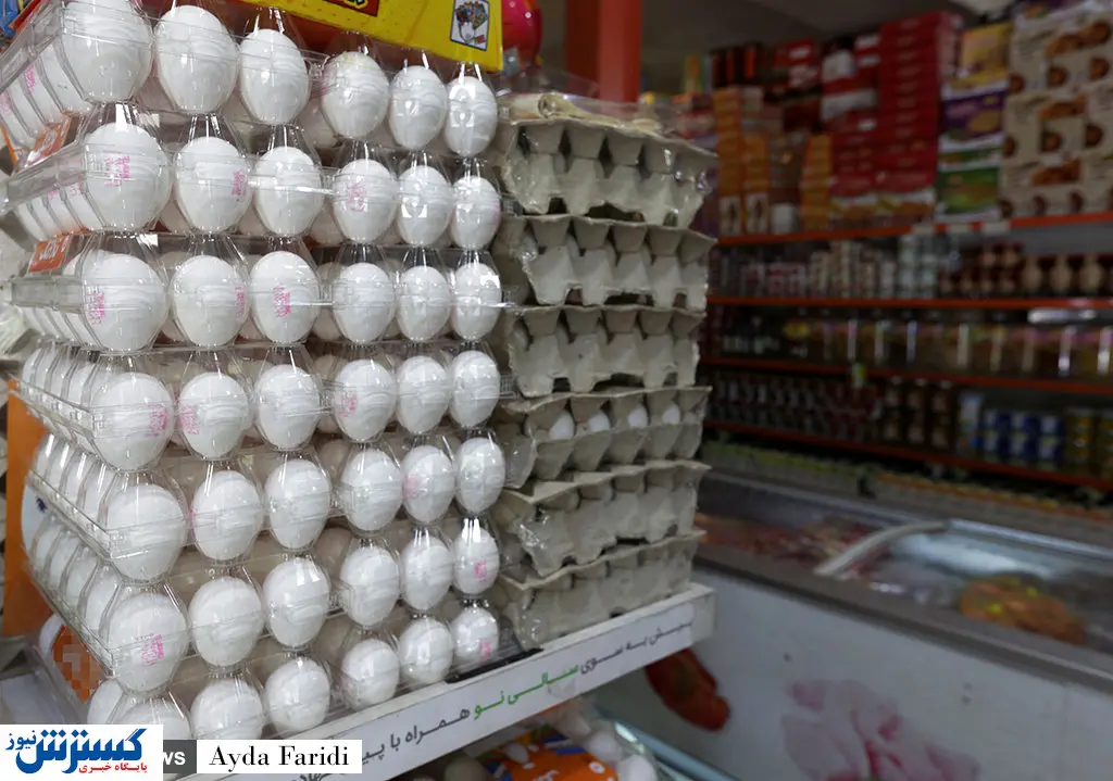 تصاویر/ داستان تخم مرغی که عزیز شد!