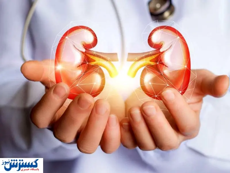 ۱۰ علامت اولیه اختلالات کلیوی را بشناسیم