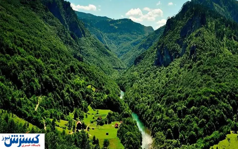 ماجرای وقف جنگلهای هیرکانی به کجا رسید؟