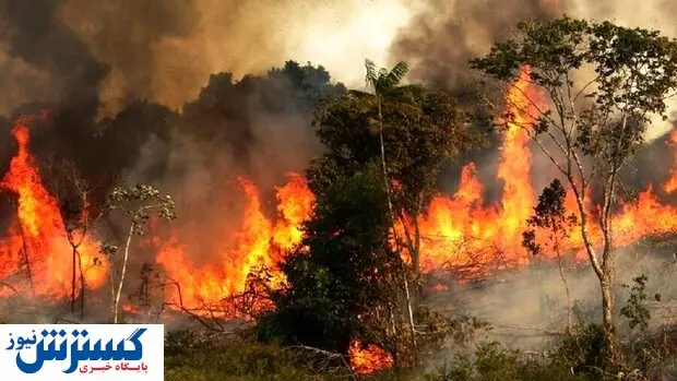 آتش سوزی جنوب استان فارس را هم درنوردید