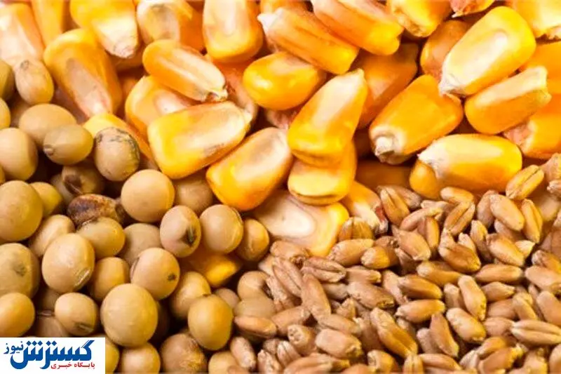 قیمت روز نهاده های دامی و محصولات کشاورزی (۴مرداد)