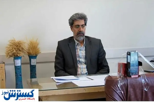 کشت کلزا در همدان قوت می‌گیرد