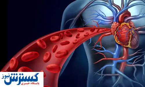 برای سلامت رگها چه بخوریم؟