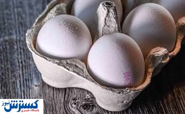 منتظر تخم مرغ ارزان باشید + جزئیات