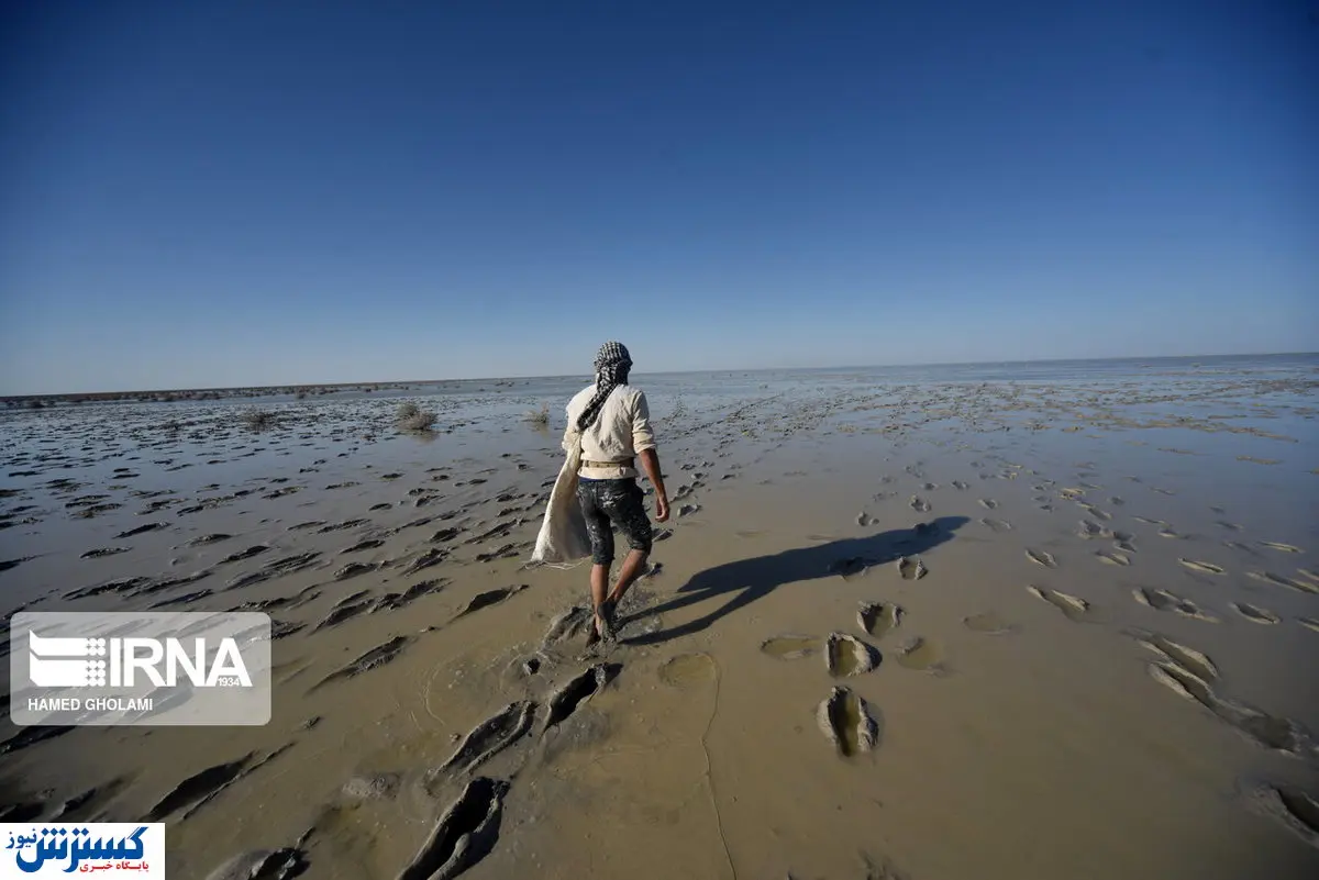 تصاویر / ماهی گیری در تالاب خالی