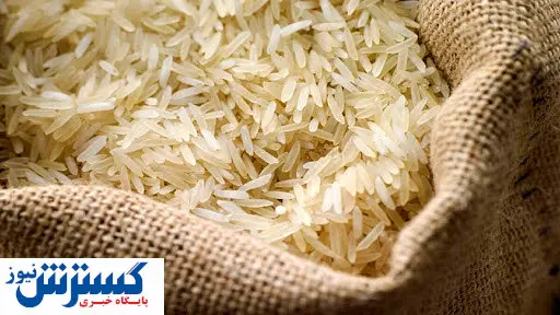 برنج پاکستانی لاکچری شد + قیمت