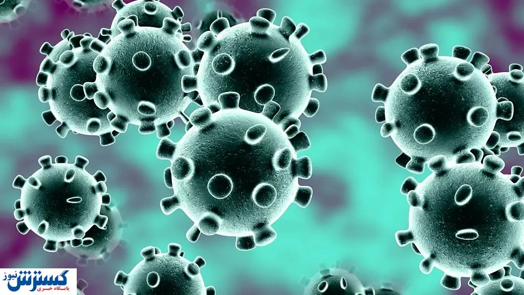 ویروس کرونا بومی می‌شود