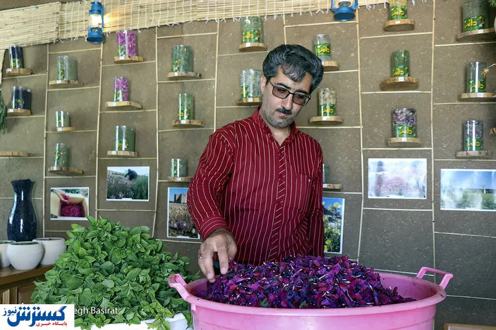 "داروهای گیاهی" در درمان کرونا بسیار موثرتر از برخی داروهای شیمیایی