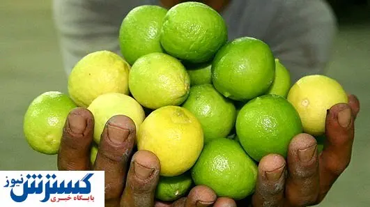 خواص پوست لیموترش از میوه اش بیشتر است