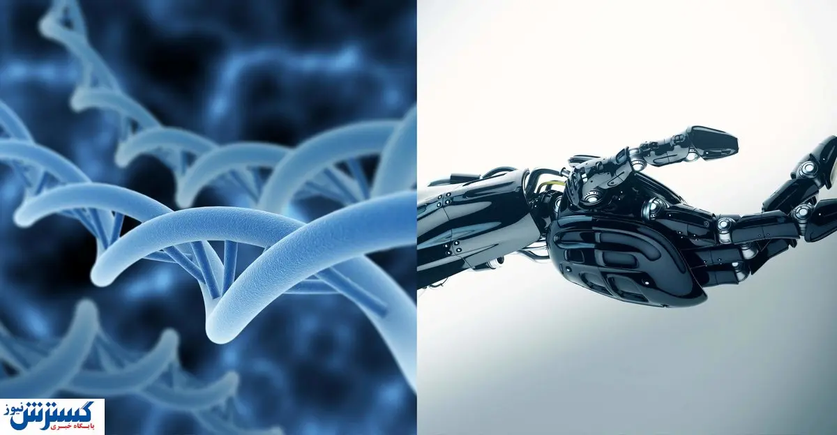 برای درآمد بیشتر به کدام دانشکده مهندسی برویم؟