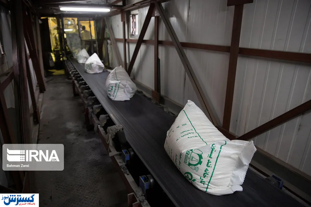 تصاویر / تولید قند در بیستون