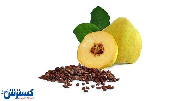 وسواس و سرفه را با این میوه درمان کنید