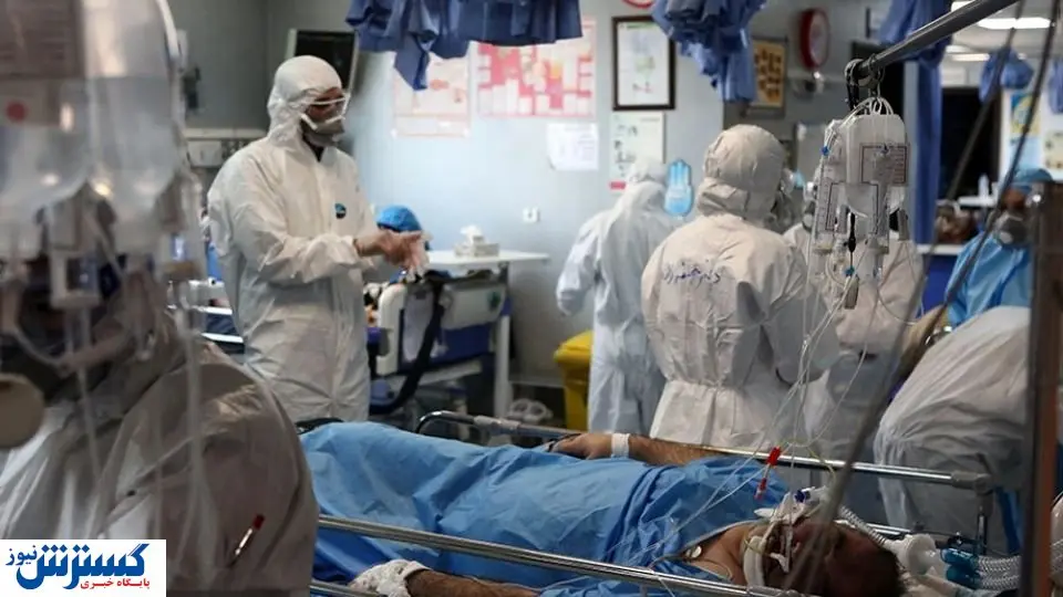 روزانه معادل ۱۰ اتوبوس کشته می دهیم