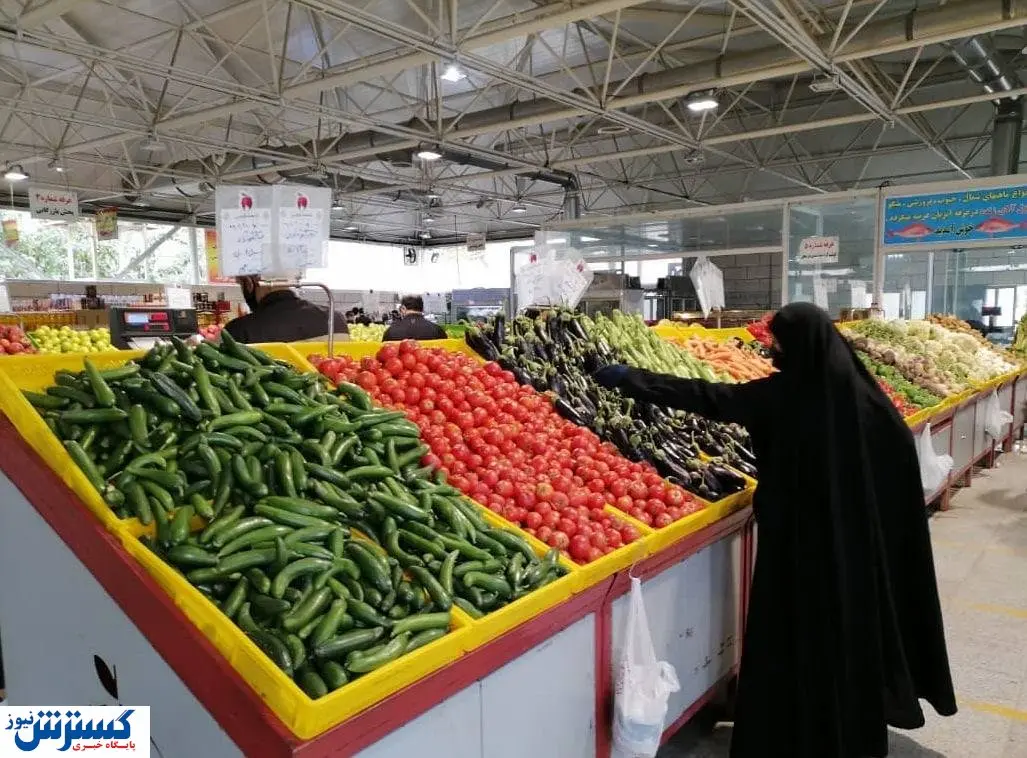 توزیع گوجه فرنگی ارزان آغاز شد