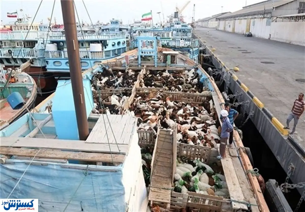 چرا گلههای گوسفند قاچاق میشود؟