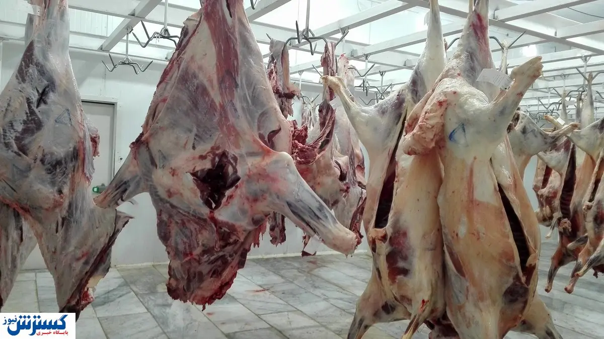 درآمد پنهانی که بازار کشتارگاه‌ها را سکه کرد