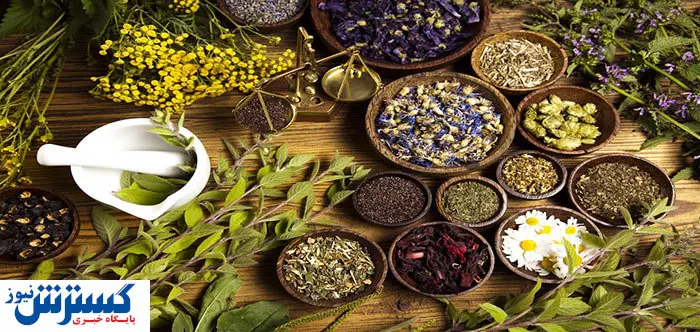مجوز تولید به ۲ داروی گیاهی کرونا داده شد
