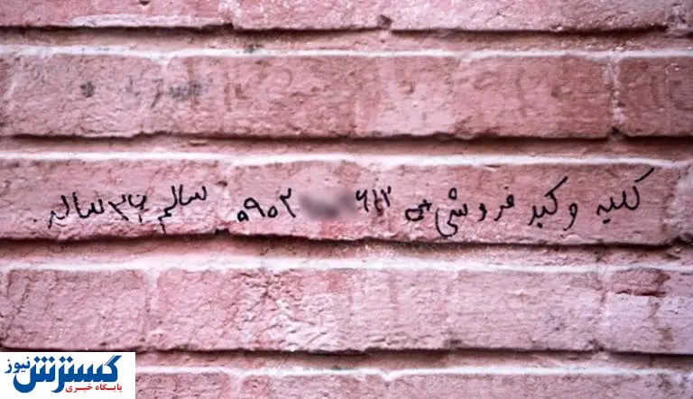 کلیه و کبد چند؟/ بازار خرید و فروش اعضای بدن