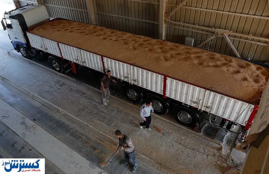 تعطیلی ۵ ابرکارخانه غلات به خاطر نبود ذرت!