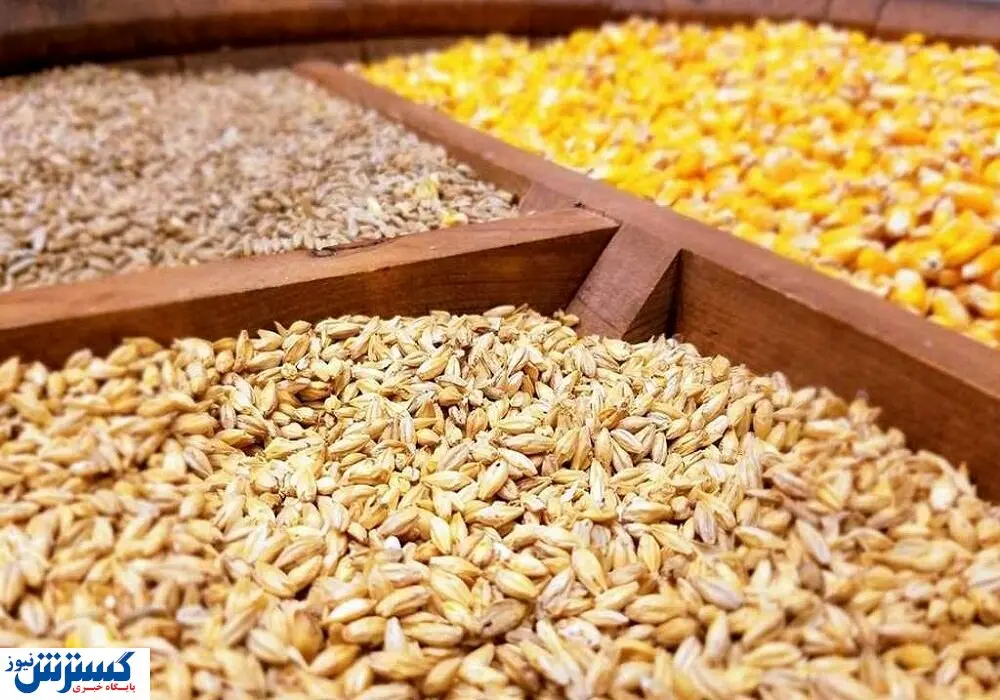 ماجرای عجیب نهاده های دامی در بازار سیاه