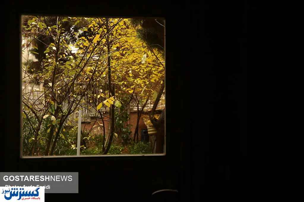 تصاویر/ برگ ریزونای پاییز در  ۱۶ آذر پایتخت!