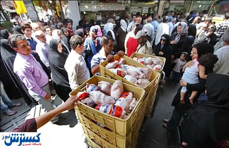 مرغ را گرانتر از این قیمت نخرید