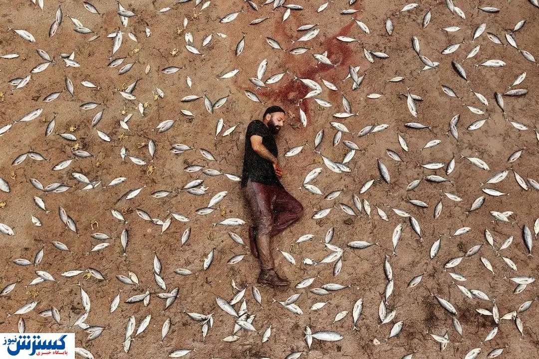 اتفاقی عجیب در قسمت آخر قورباغه / آیا باران ماهی وجود دارد؟